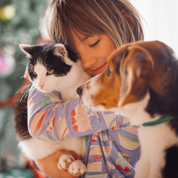 Evcil Hayvan Sigortası